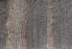 Pino - Pino Ahşap Görünümlü Panel